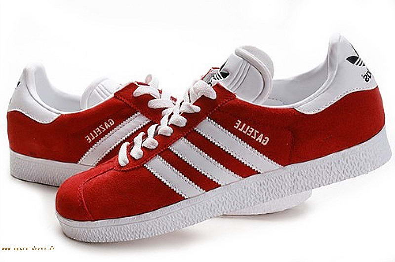 gazelle homme rouge